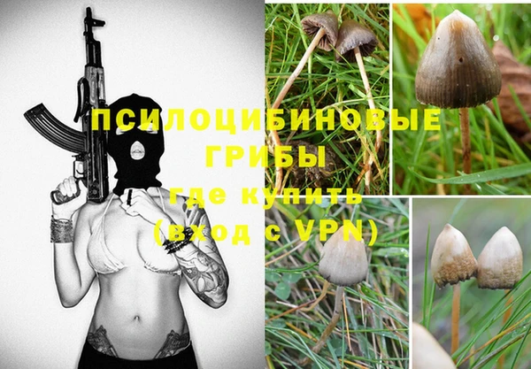 дмт Алексеевка