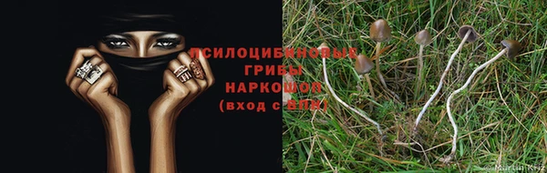 марки nbome Абдулино